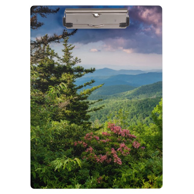 Pranchetas Mountain Laurel ao Nascer do Sol (Frente)