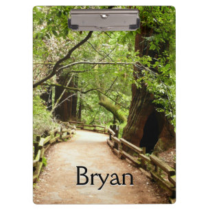 Pranchetas Muir Woods Path II - Fotografia natural