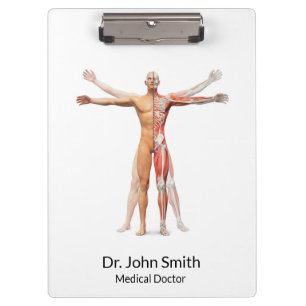 Pranchetas Músculos do Esqueleto do Corpo Humano Médico - 