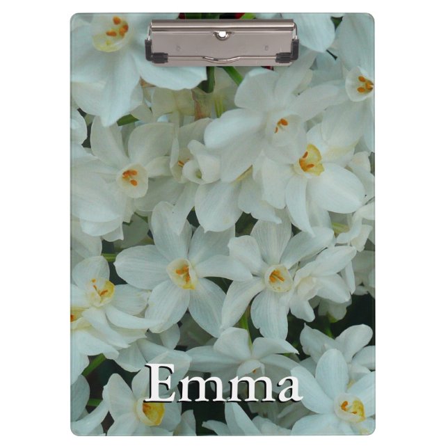 Pranchetas Narciso Branco Delicado de Paperwhite Flores (Frente)