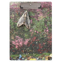 Pranchetas Natureza Inspirou a Mama