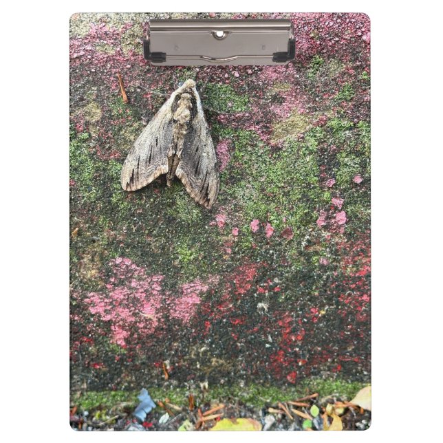 Pranchetas Natureza Inspirou a Mama (Frente)