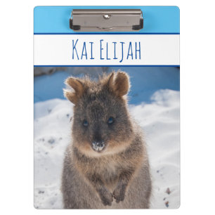 Pranchetas Nome personalizado de Blue Boys Quokka na praia
