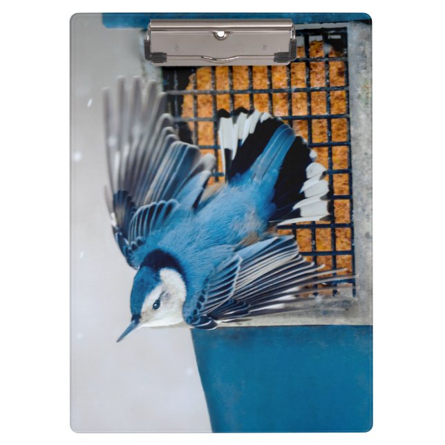 Pranchetas Nuthatch Branca em Neve - Foto original (Frente)