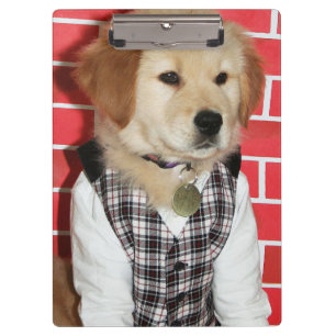 Pranchetas O golden retriever vestiu acima o filhote de