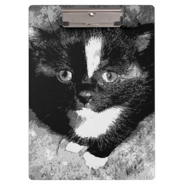 Pranchetas O Observador Silencioso