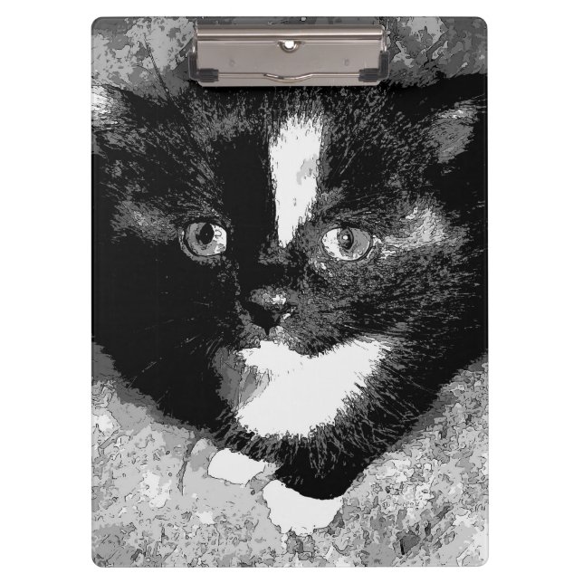 Pranchetas O Observador Silencioso (Frente)