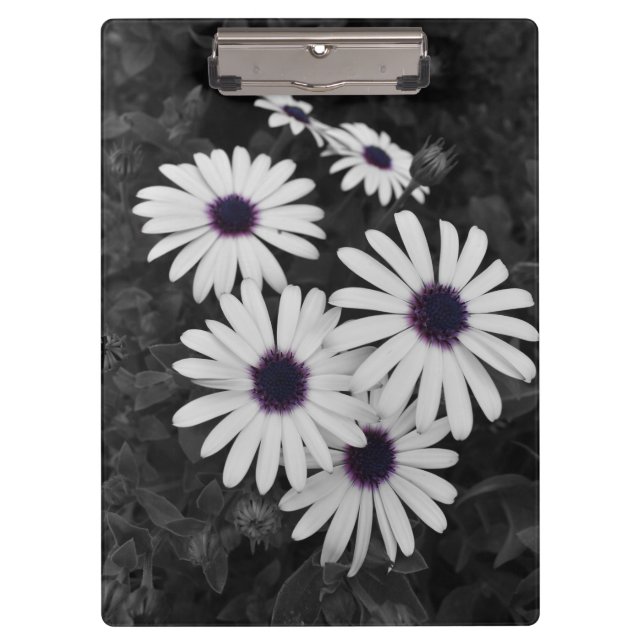 Pranchetas O Sutil Contraste da Natureza (Frente)