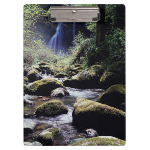 Pranchetas Oregon, Floresta Nacional Siskiyou, Elk Creek
