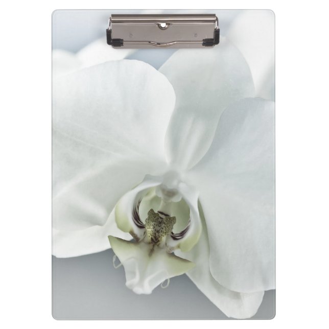 Pranchetas Orquídea de Phaleonopsis Branca (Frente)