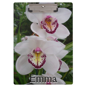 Pranchetas Orquídeas Brancas Lindas Flores Tropicais