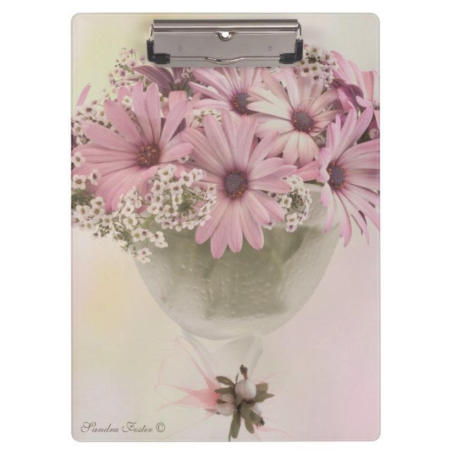 Pranchetas Osteosperno Rosa (Frente)