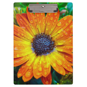 Pranchetas Ouro grande Flower Close para cima