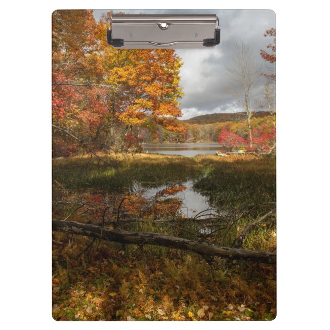 Pranchetas Outono no Nordeste  (Frente)