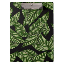 Pranchetas Padrão de Folhas Tropicais
