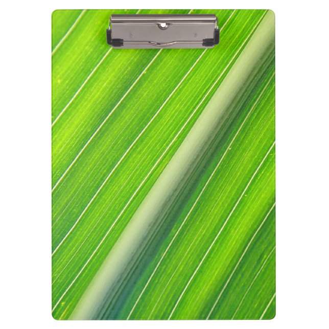 Pranchetas Padrão verde natural distribuído (Frente)