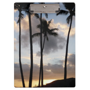 Pranchetas Palm Tree Silhouettes no Havaí