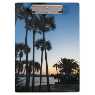 Pranchetas Palm Tres Sunrise Destin Flórida