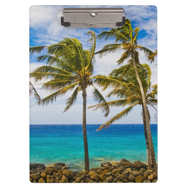 Pranchetas Palmeiras de coco (Cocos nucifera) (Frente)