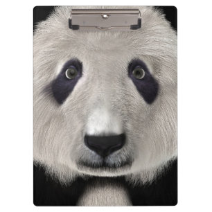 Pranchetas Panda Bear