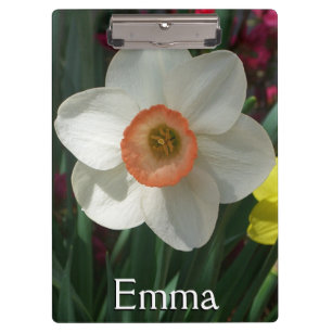 Pranchetas Par de Daffodils Flores Rosa e Amarelo