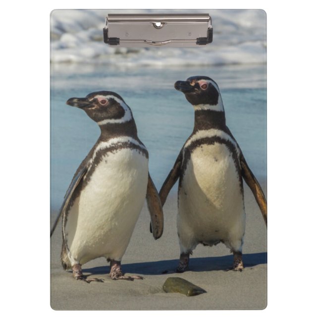 Pranchetas Par de pinguins na praia (Frente)
