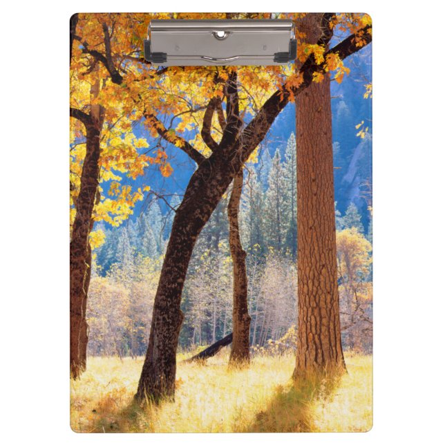 Pranchetas Parque Nacional de Yosemite (Frente)