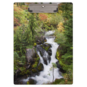 Pranchetas Parque Nacional Mount Rainier, riacho de outono