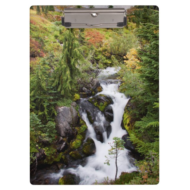 Pranchetas Parque Nacional Mount Rainier, riacho de outono (Frente)