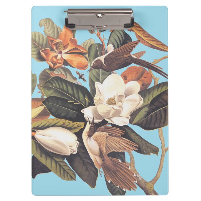 Pranchetas Pássaro Cuckoo Negro Cobrado (Frente)