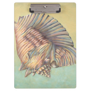 Pranchetas Pastel Grande Shell de Conch