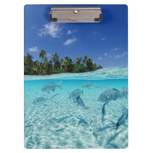 Pranchetas Peixes no mar (Frente)