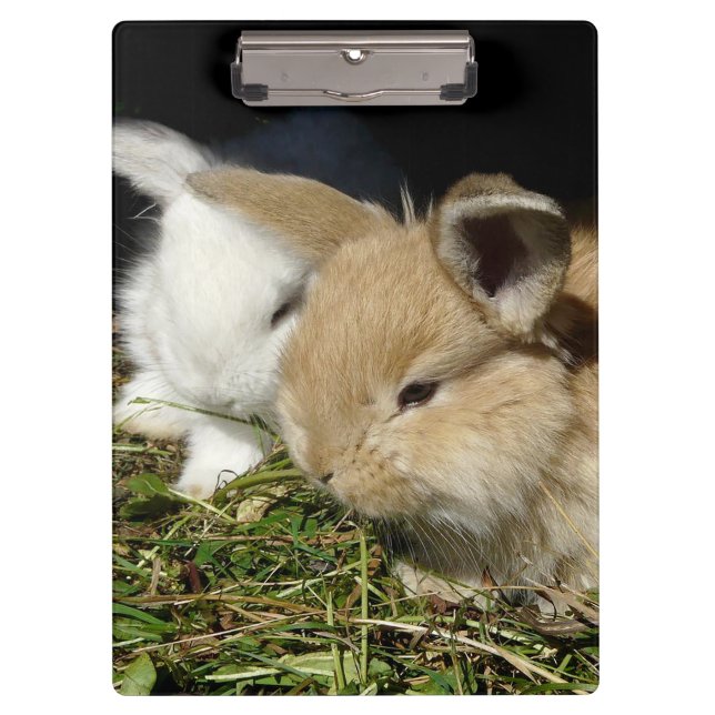 Pranchetas Pequenos coelhos fofos bonitos (Frente)