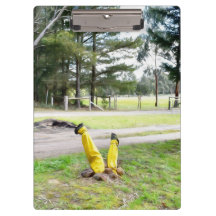 Perdido no Jardim de novo