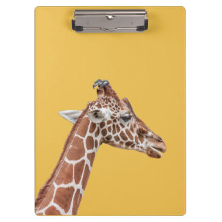 Pranchetas perfil Giraffe