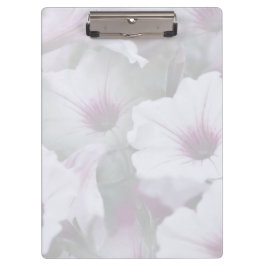 Pranchetas Petunias Brancas E Rosa