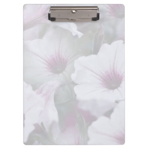 Pranchetas Petunias Brancas E Rosa