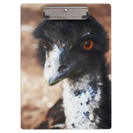 Pranchetas Piercing Eyes of Outback