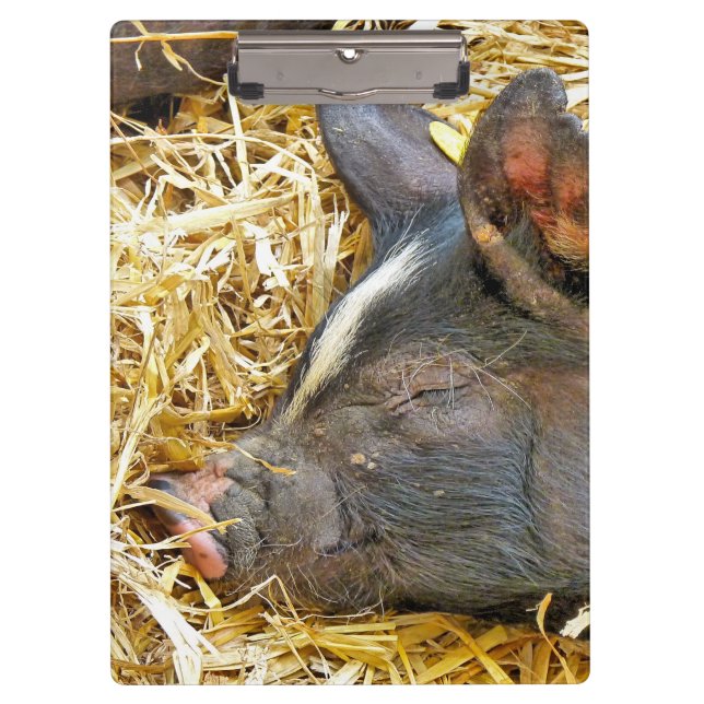 PRANCHETAS PIG CUTO (Frente)