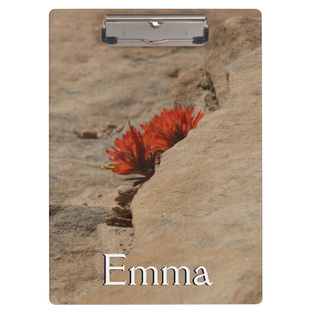 Pranchetas Pincel Indiano em Rochas em Zion (Frente)