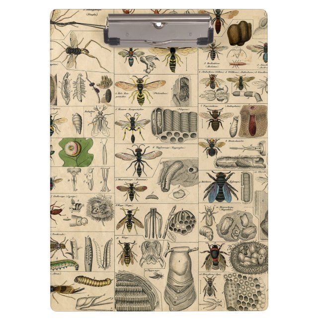 Pranchetas Pintura De Abelhas Insetos Insetos Vaza Natureza N (Frente)