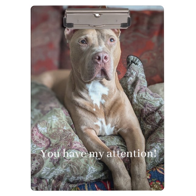 Pranchetas Pit Bull Bonito (Frente)
