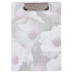 Pranchetas Placa De Clipe De Petunias Branca E Rosa Suaves