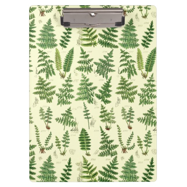 Pranchetas Plantas frondosas verdes do vintage (Frente)