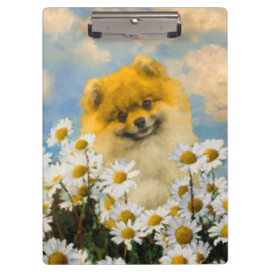 Pranchetas Pomerânia em Pintura de Dísias - Arte de Cachorro