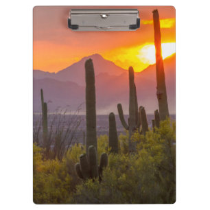 Pranchetas Pôr do sol no cacto do deserto, Arizona