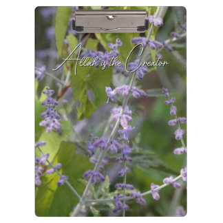 Pranchetas porte-bloc fleur violette jardin photographie beau