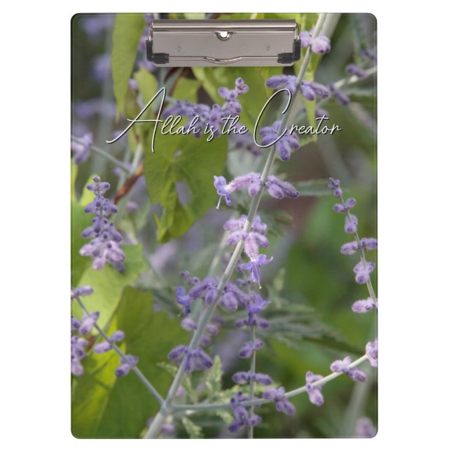 Pranchetas porte-bloc fleur violette jardin photographie beau (Frente)