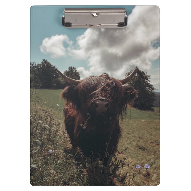 Pranchetas Prados negros e pastagens de vaca escocesa (Frente)