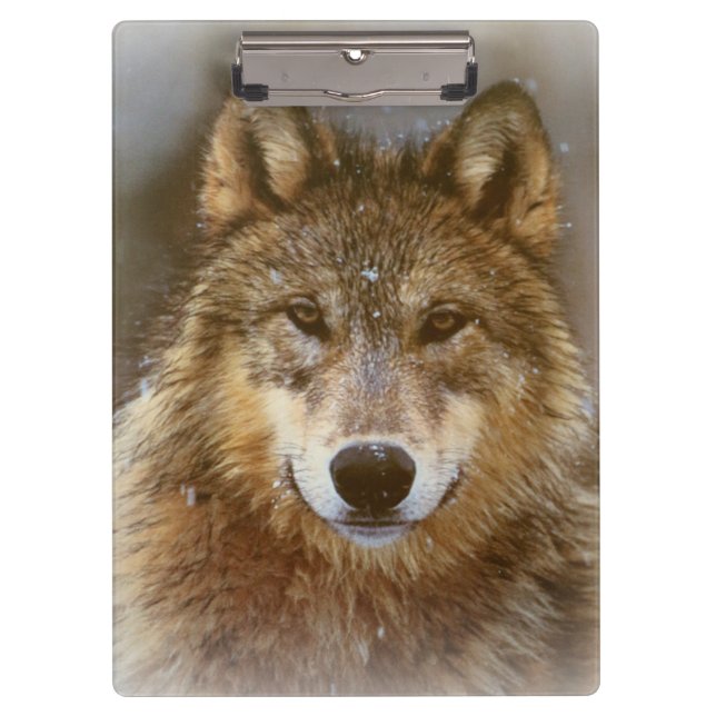 Pranchetas Prancheta/Lobo (Frente)